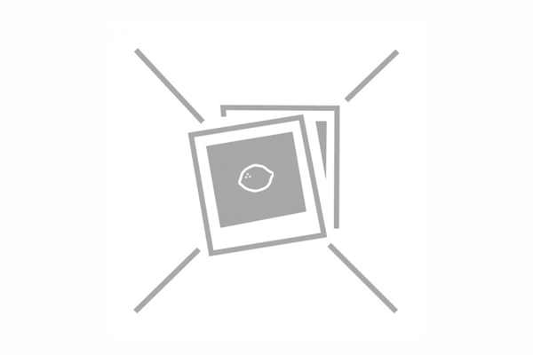 PL-line 5654 Wall Mounting Plate  23L + 43L